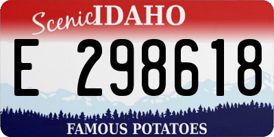 ID license plate E298618