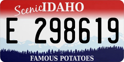 ID license plate E298619