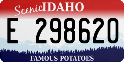 ID license plate E298620