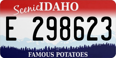 ID license plate E298623