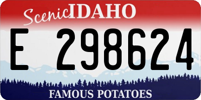 ID license plate E298624