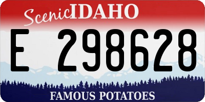 ID license plate E298628