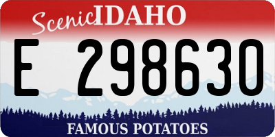ID license plate E298630