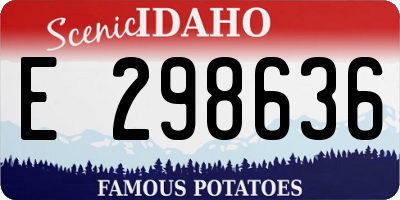 ID license plate E298636