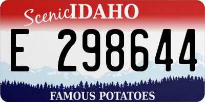 ID license plate E298644