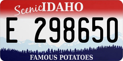 ID license plate E298650