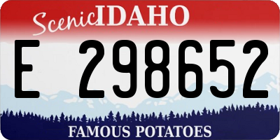 ID license plate E298652