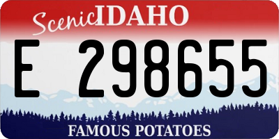 ID license plate E298655