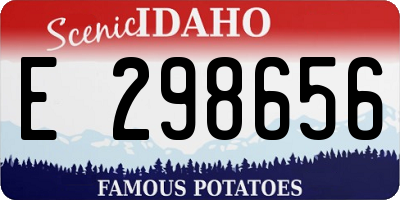 ID license plate E298656