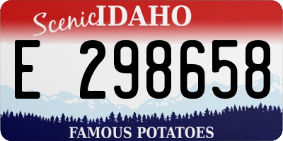 ID license plate E298658