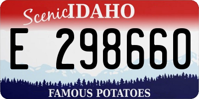 ID license plate E298660