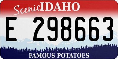 ID license plate E298663