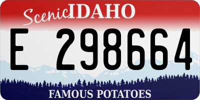 ID license plate E298664