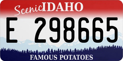 ID license plate E298665
