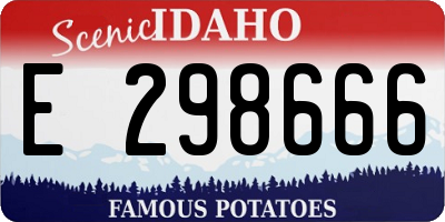ID license plate E298666