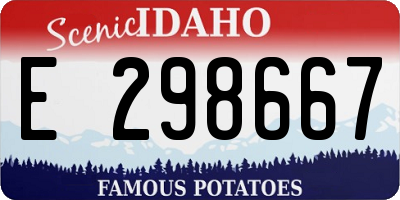 ID license plate E298667