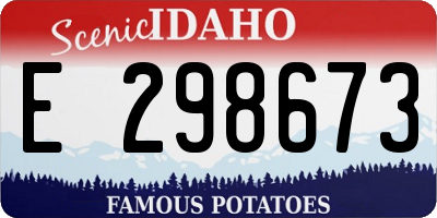ID license plate E298673