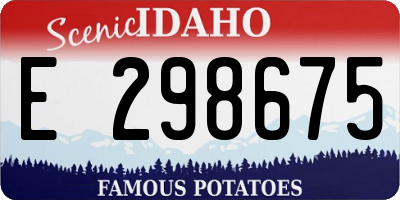 ID license plate E298675