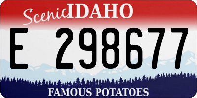 ID license plate E298677