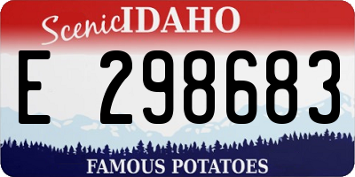 ID license plate E298683