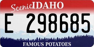 ID license plate E298685