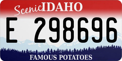 ID license plate E298696