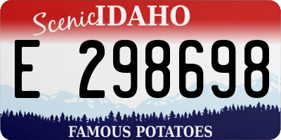 ID license plate E298698