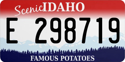 ID license plate E298719