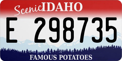 ID license plate E298735