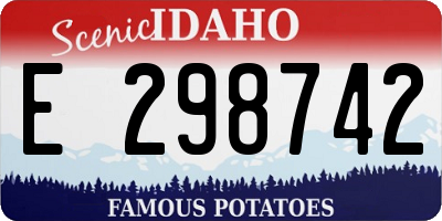 ID license plate E298742