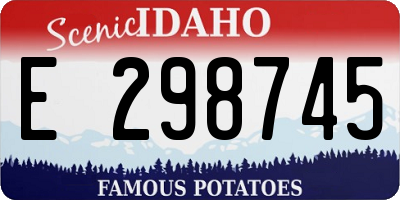 ID license plate E298745