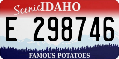 ID license plate E298746