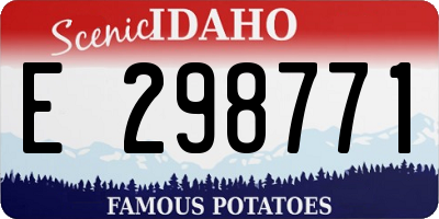 ID license plate E298771