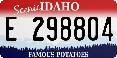 ID license plate E298804