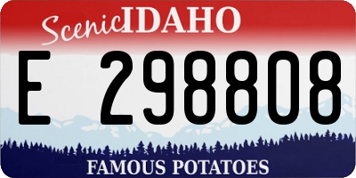 ID license plate E298808