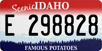ID license plate E298828