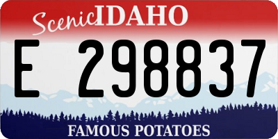 ID license plate E298837