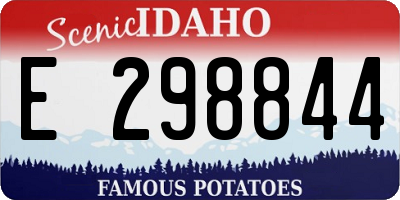 ID license plate E298844