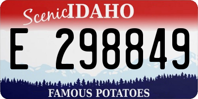 ID license plate E298849