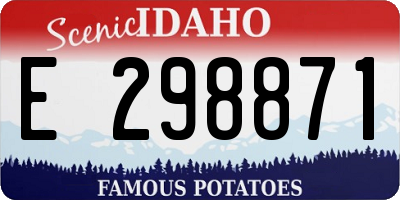 ID license plate E298871