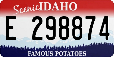 ID license plate E298874