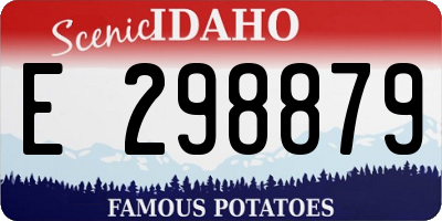 ID license plate E298879