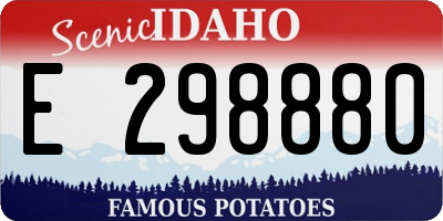 ID license plate E298880