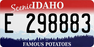 ID license plate E298883