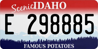 ID license plate E298885