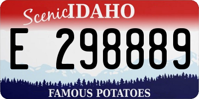 ID license plate E298889