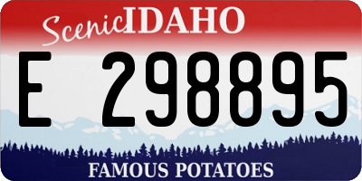 ID license plate E298895