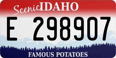 ID license plate E298907