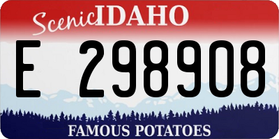 ID license plate E298908