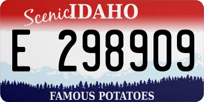 ID license plate E298909